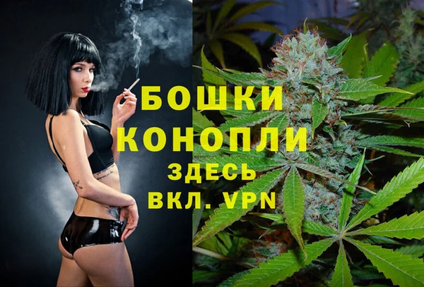винт Медвежьегорск