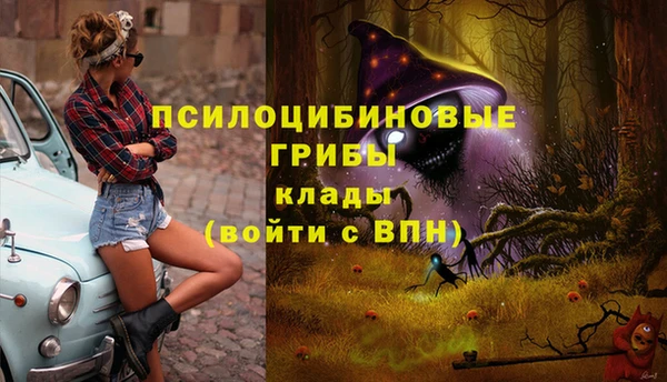 спиды Михайловка