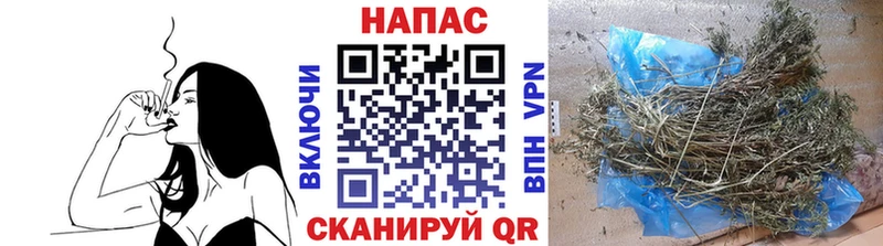 закладка  Курлово  Бошки Шишки гибрид 